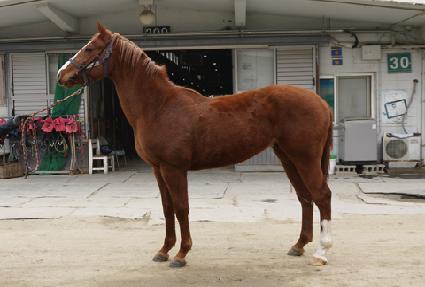 ����� ����