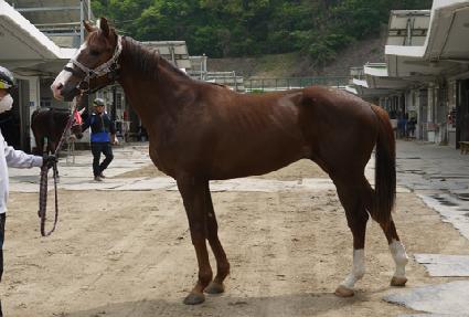 ������� ����