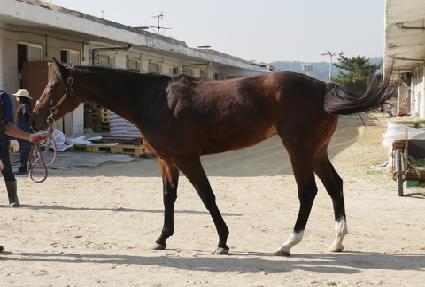 �Ƶ����� ����