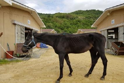 ���Ѹŷ� ����