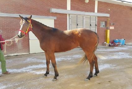 ��ġ���̽� ����