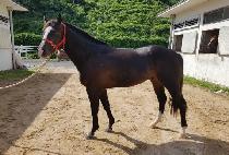 ���� (MUCHO) ����