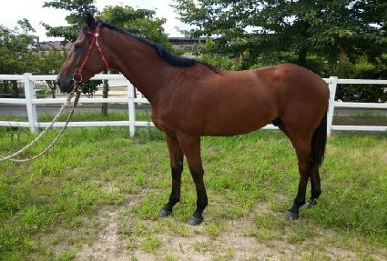 ���Ʈ�� ����