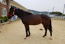 ���и� (BULPAE MAN) ����