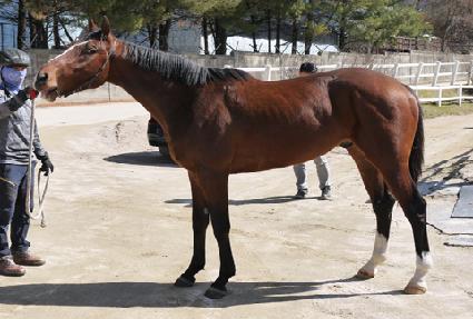 õ�� ����