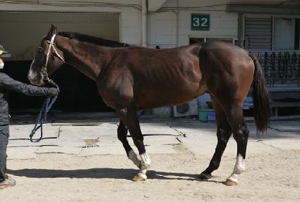 �ο�����Ʈ ����