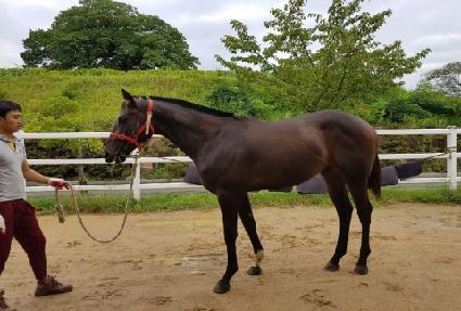 ��ǻ��¸� ����