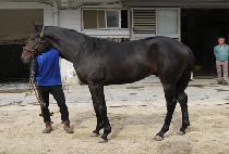 ���Ǹ��� (OPI RIVER) ����