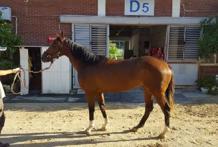 �պ� ����