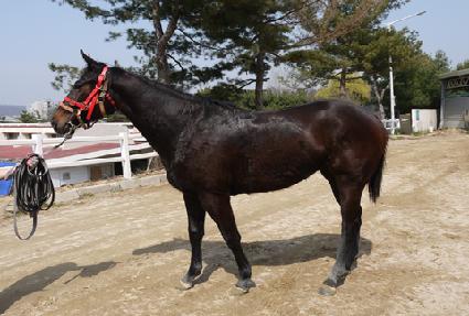 �帲����Ʈ ����