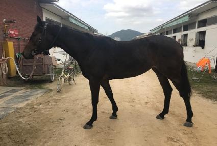 ȣ���ٽ� ����