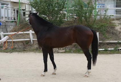 ȭ�� ����