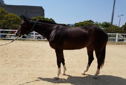 �÷�Ĺ ����