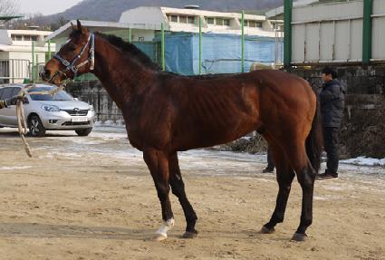 ��Ǫ��Ĺ ����