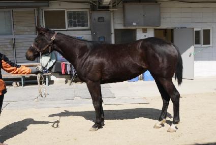 �������� ����