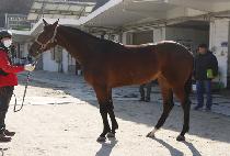 �û���ħ (NEUL SAE ACHIM) ����