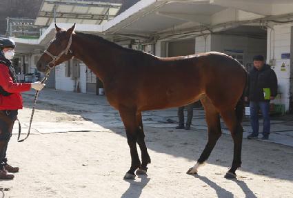 �û���ħ ����