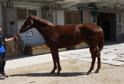 ���ö����� ����