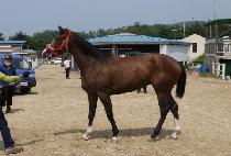 ��ġ���� (RICH MINE) ����