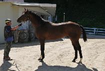 ���ø�Ʈ���� (COMPLETE SWEEP) ����