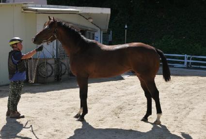 ���ø�Ʈ���� ����