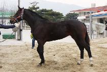 �������κ��� (DOUBLE RAINBOW) ����