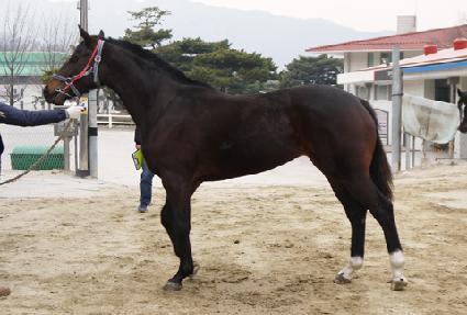 �������κ��� ����