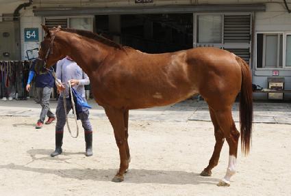 ��罺��ũ ����