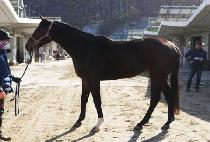 ���븮 (GOLD VELLY) ����