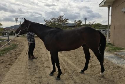 ����Ʈ���̽� ����