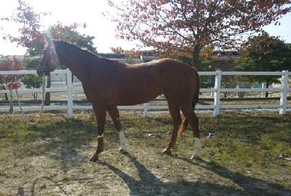 ������ ����