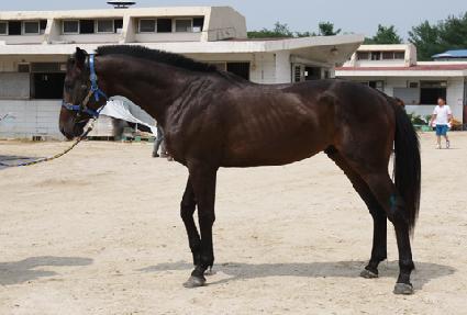 ��ŷ ����