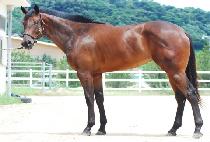 �ΰ潺ī�� (BUGYEONG SKY) ����