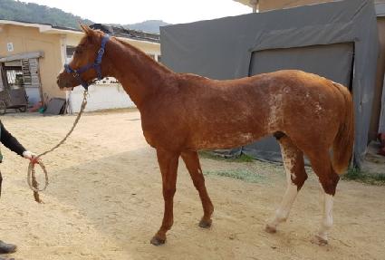 �����Ǻ��� ����