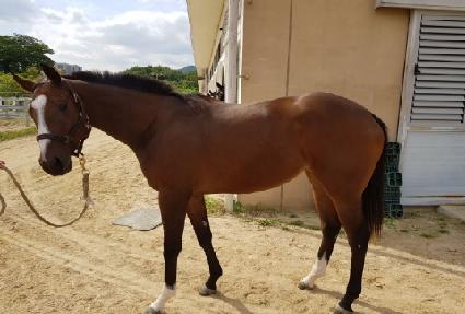 �������ǵ� ����