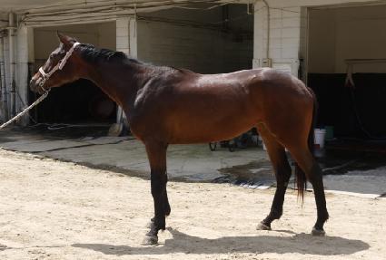 �ƽ����� ����