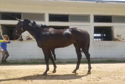 ����ĸƾ ����