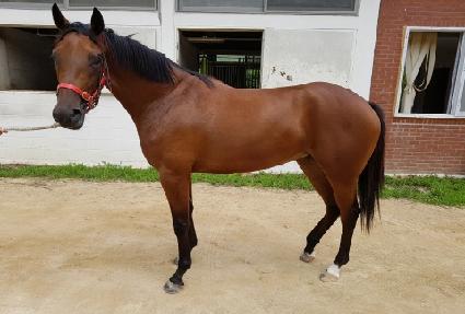 �ػ罺���� ����