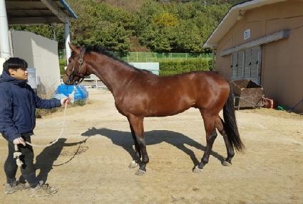 �����ַο� ����