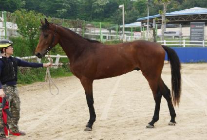 �ο���ũ ����