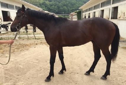 �������̽� ����