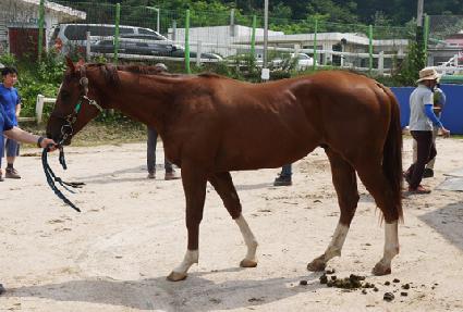 ����Ʈ�ؽ� ����