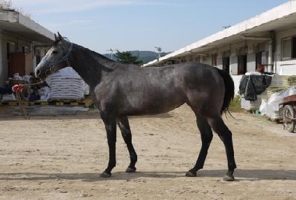 �����ǿ��� ����