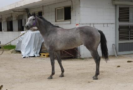 ���ѿ����� ����