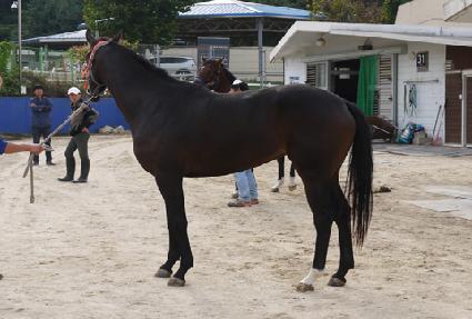 ���ｺ�丮 ����