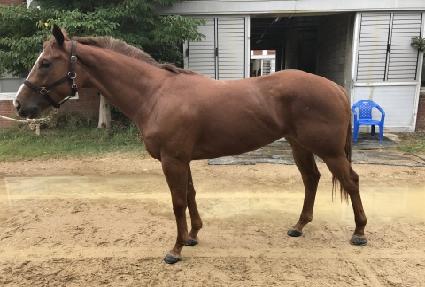 ��������Ƽ ����