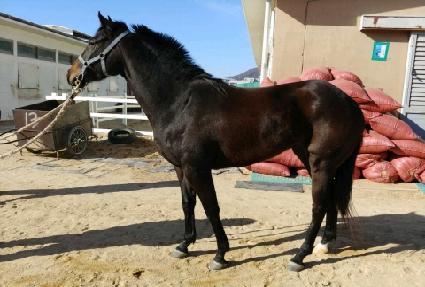 �ΰ潺�丮 ����