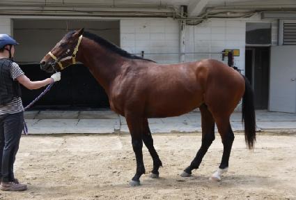 �ް���Ƽ ����