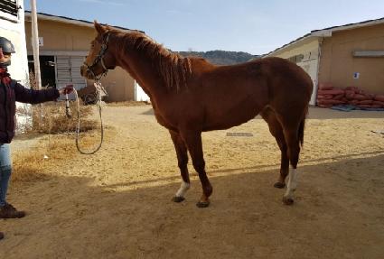 Ȳ�ݺ����� ����