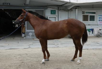 ���Ϸ�Ʈ���� ����